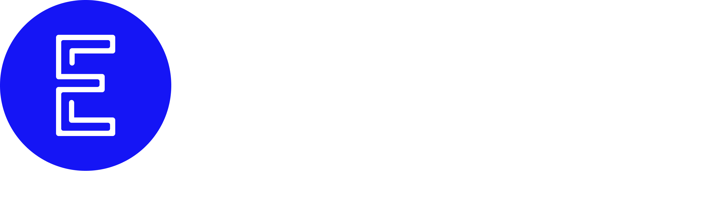 E-Flightlogo_white